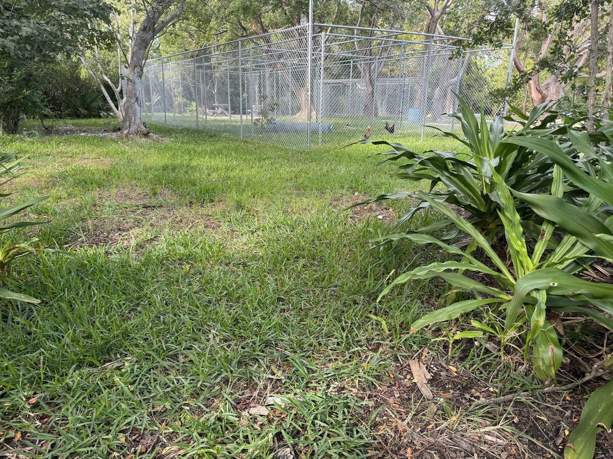 Black vinyl coated chain link enclosure in the Florida Keys